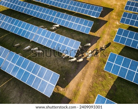 Solar panel produces green, environmentaly friendly energy from the setting sun. Aerial view from drone. Landscape picture of a solar plant that is located inside a valley with sheep
