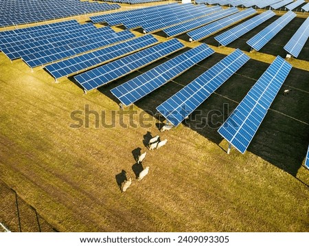 Solar panel produces green, environmentaly friendly energy from the setting sun. Aerial view from drone. Landscape picture of a solar plant that is located inside a valley with sheep
