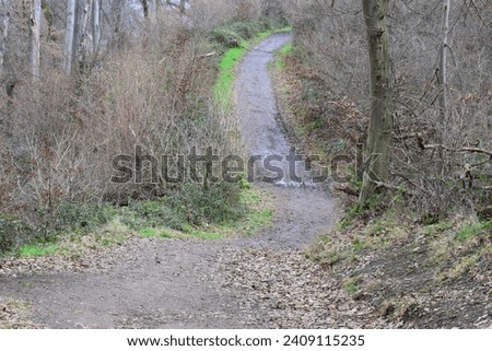 muddy hiking trail in winter forest