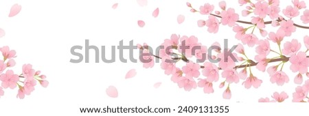Beautiful cherry blossom background frame material (3:1) Royalty-Free Stock Photo #2409131355