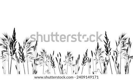 Silhouette of dry meadow grass with fluffy spikelets isolated on a white background. Floral horizontal composition, frame border. 