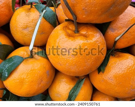 The orange from farm displays. 