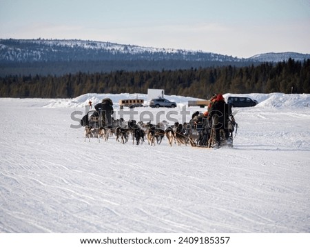 A sleigh pulled by huskies on the frozen Torne River. Jukkasjärvi, Sweden, Northern Europe