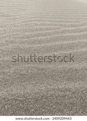 sand texture on the sea coast