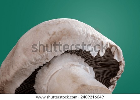 Cultivated mushroom, Photo of Mushroom food from a unique angle. Green background, side view. Original organic nutrition idea.