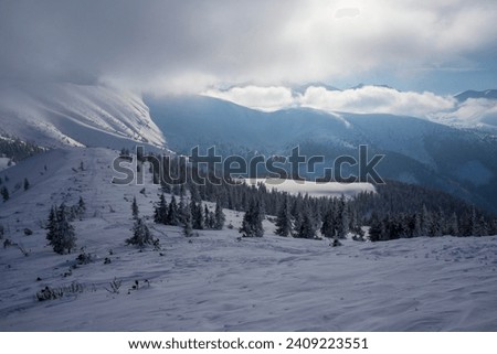 Western Tatras in winter. Grzes (Lucna) peak area.