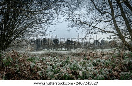 Snowy picture of a golf course covered in snow that is visible through a tree gap