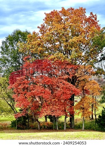 Beautiful changing colors in the fall autumn season reds golds yellows and greens lovely trees 