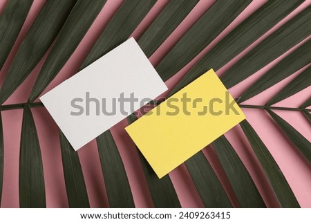 Yellow and white business card with green palm leaf on pink background. Creative layout