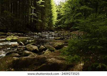 waterfalls on a stream in the forest