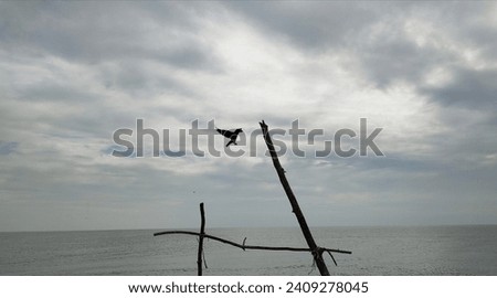 Silhouette of a single crow or raven wild bird flying towards a wooden pole surrounded by deserted or empty ocean and cloudy dark sky background. Spooky, and creepy ominous nature scenery concept.