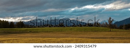 Alps mountains in the evening light. Fluffy clouds on a bright blue sky. Sunset on a mountain pasture. Nature freshness concept.