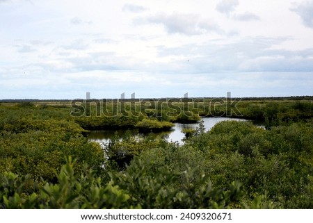 A landscape photograph I Created at the Black Point Wildlife Drive on January 3,2024. The Black Point Wildlife Drive is a nature drive in the Merritt Island National Wildlife Refuge. 