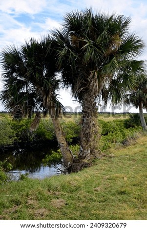 A landscape photograph I Created at the Black Point Wildlife Drive on January 3,2024. The Black Point Wildlife Drive is a nature drive in the Merritt Island National Wildlife Refuge. 