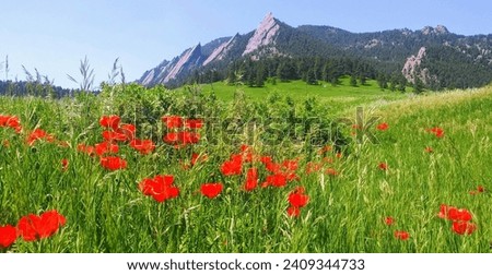 Flatiron mountains in spring, Rocky mountains, Colorado  Royalty-Free Stock Photo #2409344733
