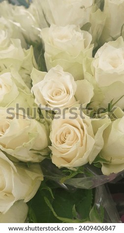 Bouquet of freshly picked white roses