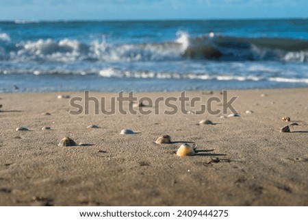 Sand, rocks on beach with blue sky