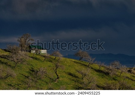 A worrisome picture of a house on a green hill surrounded by trees against the backdrop of an approaching, menacing storm.