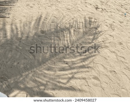 the shadow of a coconut tree leafs at white sands beach