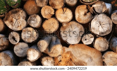 Stack of Sawn Logs Background. Clip art photo. Natural wooden wallpaper