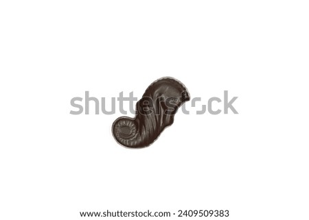 Single dark chocolate seahorse praline isolated on white background