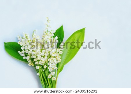 Blurred floral natural background. Soft focus. Spring landscape. flowers lily of the valley. 