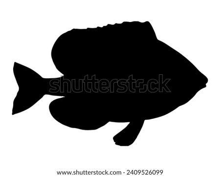 Pumpkinseed Fish silhouette vector art white background