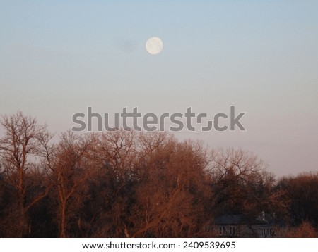 full moon over sunrise-tinted trees