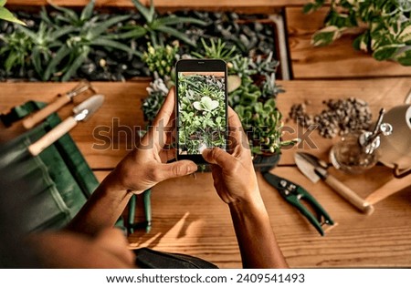 Top view of a woman holding a phone and taking a photo of succulents on a wooden table. On the table there are garden tools for transplanting pots, a watering can, a sprayer.     