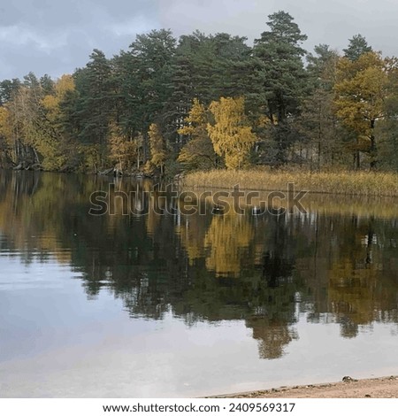 A colorful autumn picture by the lake, where you will find the relaxing calm