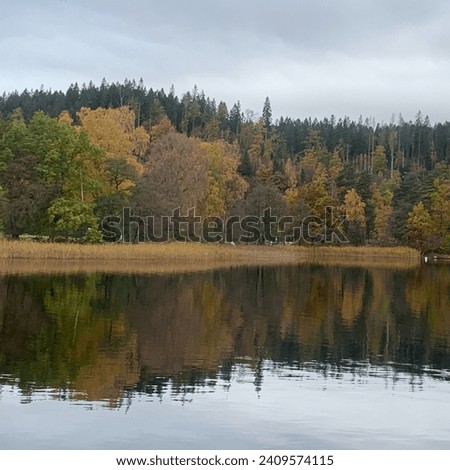 An autumn picture by the lake where you find peace