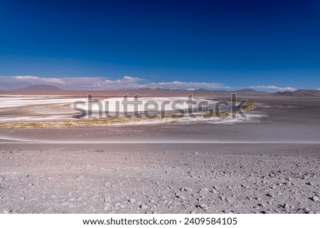 Wild fauna in the red lagoon in the bolivian altiplano Royalty-Free Stock Photo #2409584105