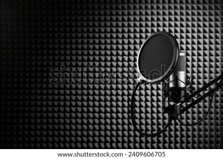 Professional microphone on the black sound proof panel background. Recording studio, copy space. Royalty-Free Stock Photo #2409606705