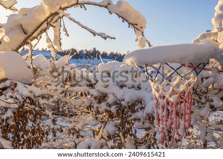 Close-up view of basketball hoop in backyard of villa covered in snow on frosty, sunny winter day. Sweden.