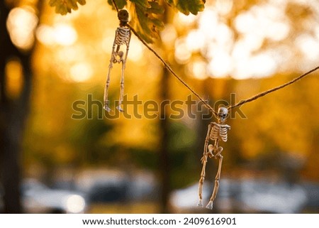 A garland of skeletons hung on trees in an autumn park at sunset, the concept of Halloween, copy space