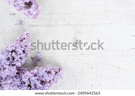 Fresh lilac flowers border over ged white wooden background with copy space, flat lay flower composition