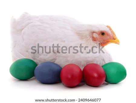 Chicken and Easter eggs isolated on a white background.