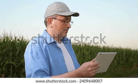 senior farmer takes notes digital tablet, farmer agronomist engineer walks along road between green corn, agricultural fields farm concept, businessman farmer working with computer tablet field