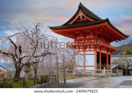 Kiyomizu-dera temple in Kyoto, Japan with beauiful full bloom sakura cherry blossom in spring Royalty-Free Stock Photo #2409679825