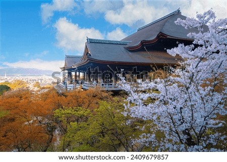 Kiyomizu-dera templein Kyoto, Japan with beauiful full bloom sakura cherry blossom in spring Royalty-Free Stock Photo #2409679857