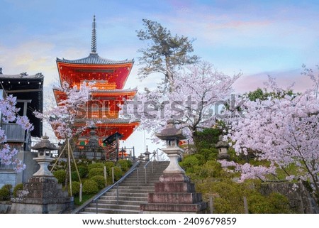 Kiyomizu-dera templein Kyoto, Japan with beauiful full bloom sakura cherry blossom in spring Royalty-Free Stock Photo #2409679859