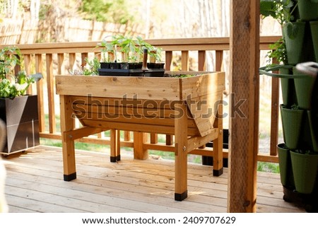 An elevated garden planter is ready to have young pepper plant starts planted in the Spring. A seedling tray sits on top waiting to be planted into the soil. Wheelchair friendly gardening. Royalty-Free Stock Photo #2409707629