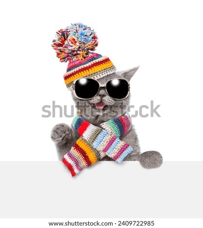 Happy cat wearing sunglasses, knitted warm woolen scarf and hat with pompon looks above empty white board. isolated on white background