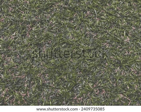 Good quality green grass which is usually used for football sports, is also used for carpets.