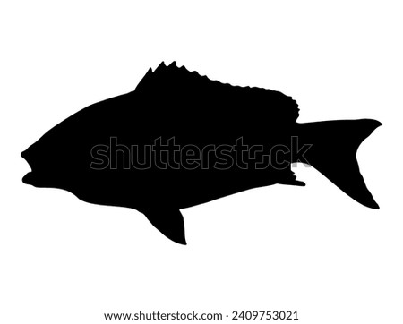 Snapper Fish silhouette vector art