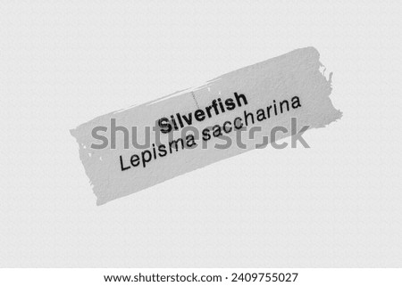 Silverfish (Lepisma saccharina) in English vocabulary language heading and word title with species and genus and meaning with reference to British wildlife and countryside