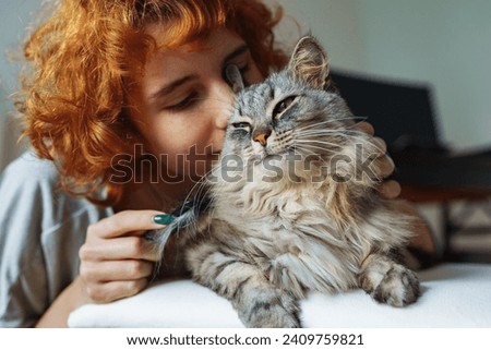teenage girl takes care fur fluffy long-haired domestic cat. portrait gray cat lying on chair during home grooming Royalty-Free Stock Photo #2409759821