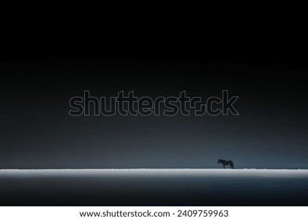 Black and White Photo of a Horse Standing in the Distance in the Snowy Icelandic Fields at Night. Amazing Wild Nature of Iceland... Royalty-Free Stock Photo #2409759963