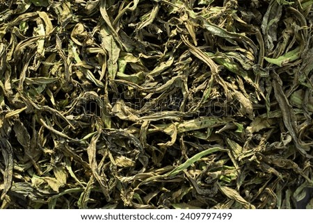 Ivan tea for health.Narrow-leaved cypress for brewing.Dried Ivan tea. Folk medicine. herbage Royalty-Free Stock Photo #2409797499