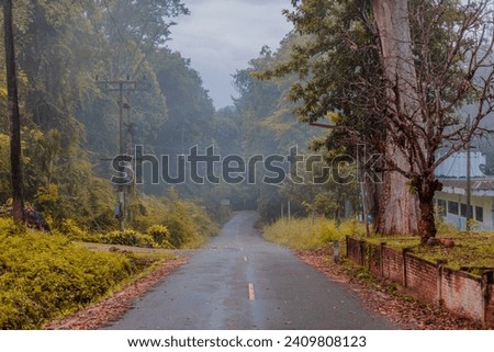 Natural background, high angle from the high mountains that can see the scenery around, the wind blows through the cool, blurred of traveling, the integrity of the moist forest. Royalty-Free Stock Photo #2409808123